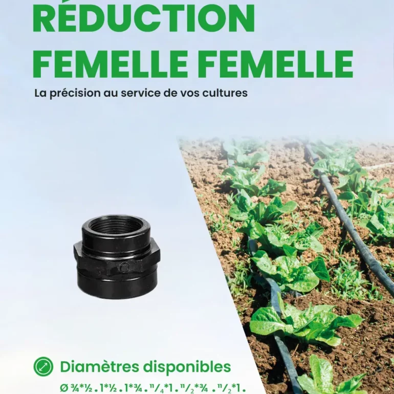 PEHD - Accessoire d'irrigation - Mécanique - Réduction femelle femelle