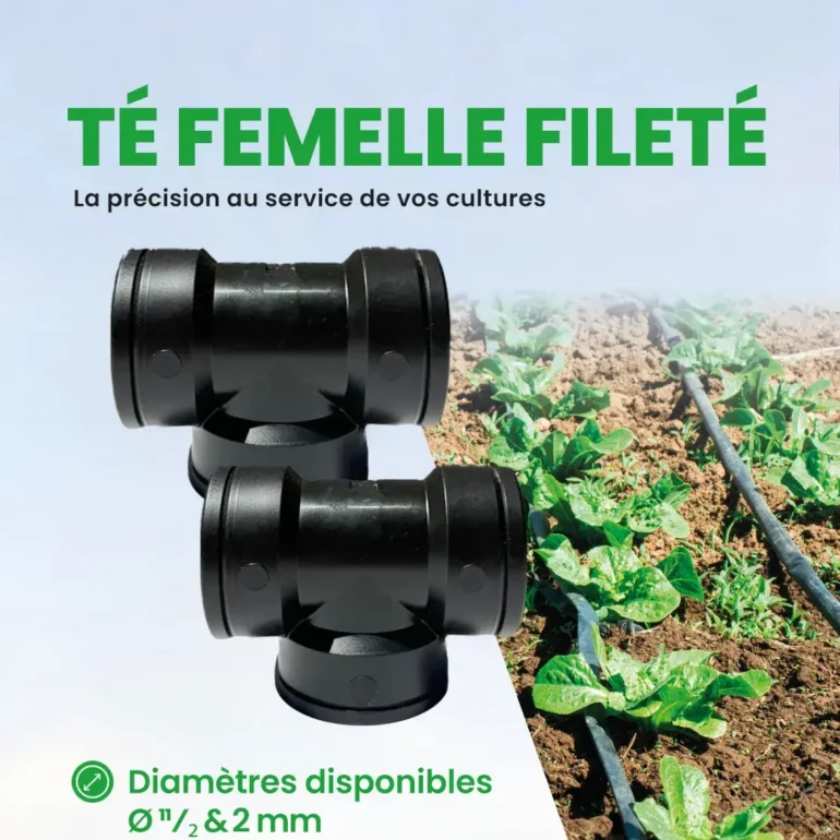PEHD - Accessoire d'irrigation - Mécanique - té femelle fileté